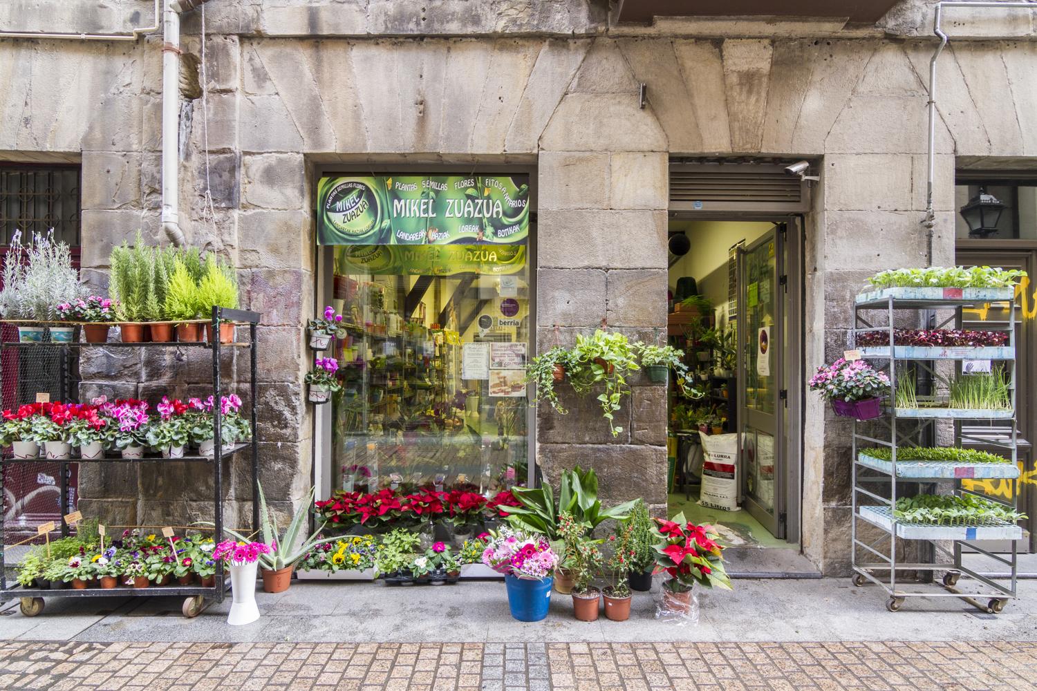 Semillas, Plantas y Floristeria Mikel Zuazua Semillas, Plantas y Floristeria Mikel Zuazua